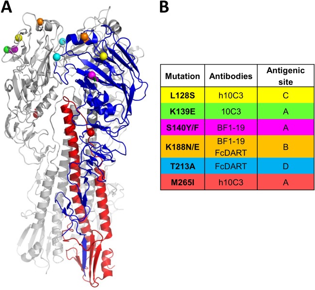 FIG 4