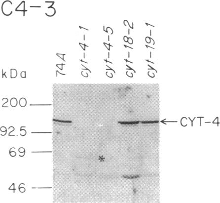 graphic file with name pnas01079-0170-a.jpg