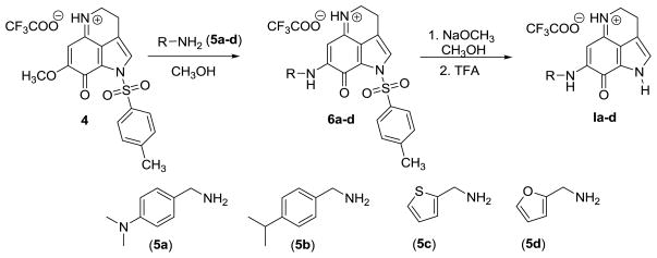 Scheme 1