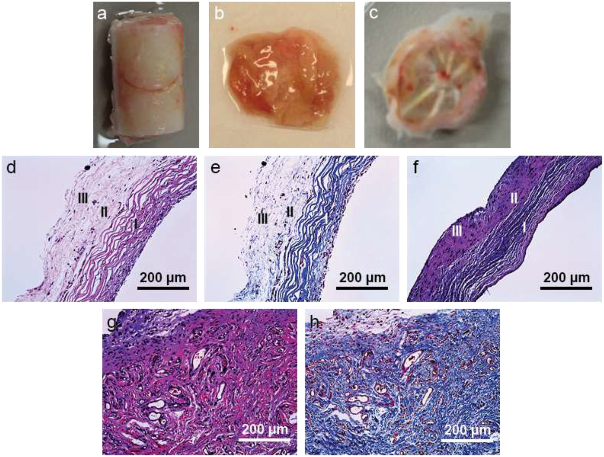 Figure 3: