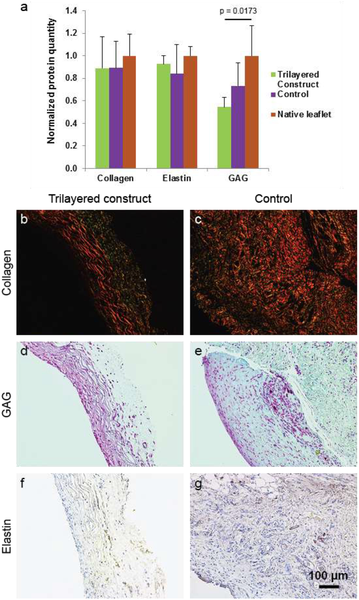 Figure 7: