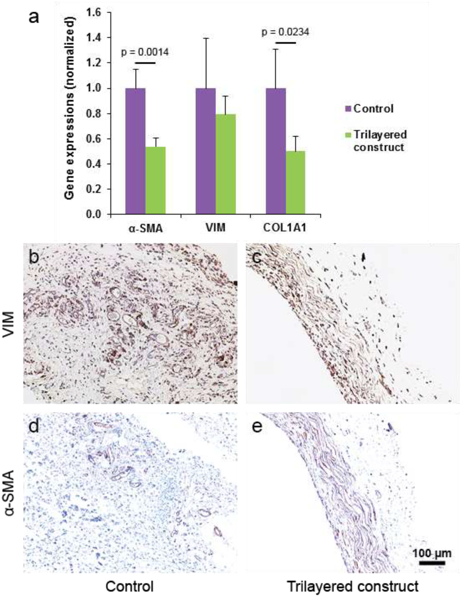 Figure 6: