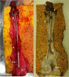 Fig. 1
