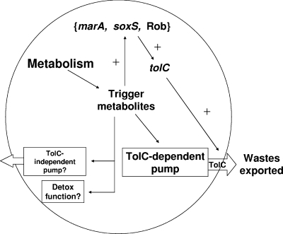 FIG. 5.