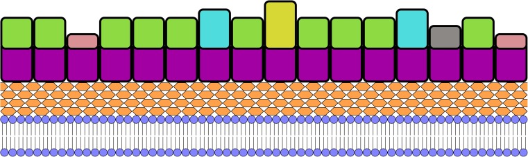 Fig. 1