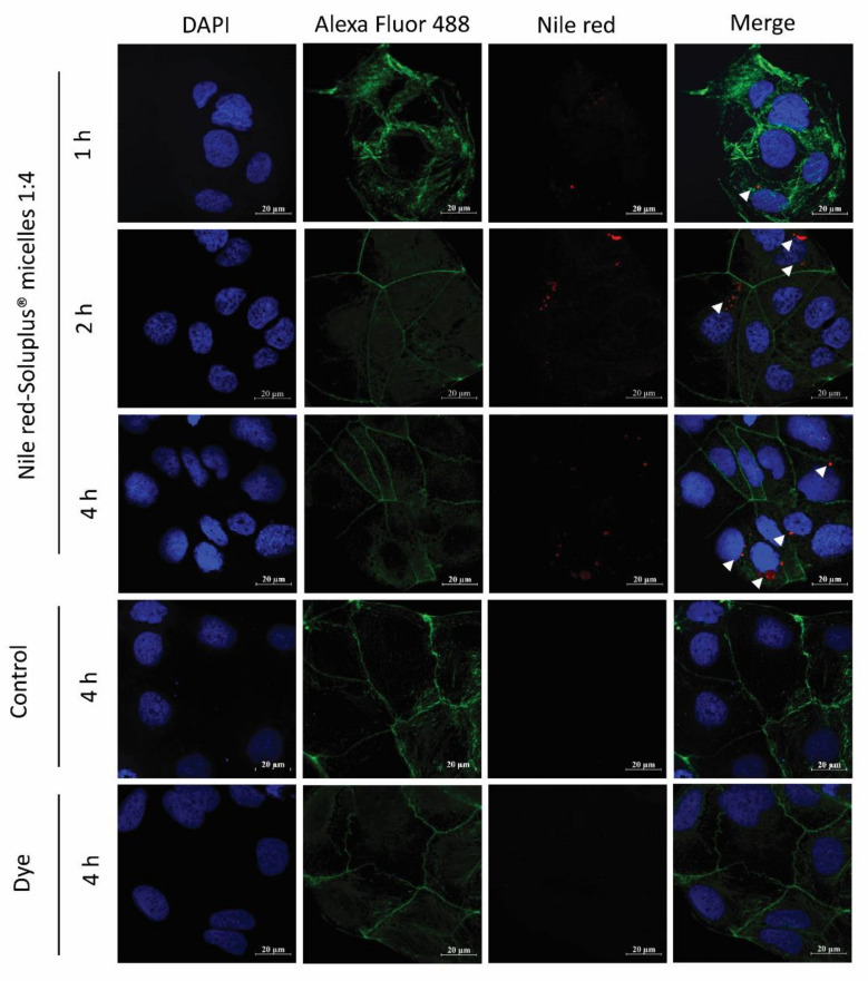 Figure 10