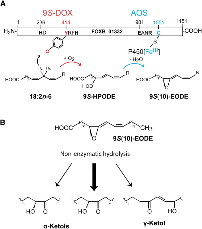 Fig. 8.