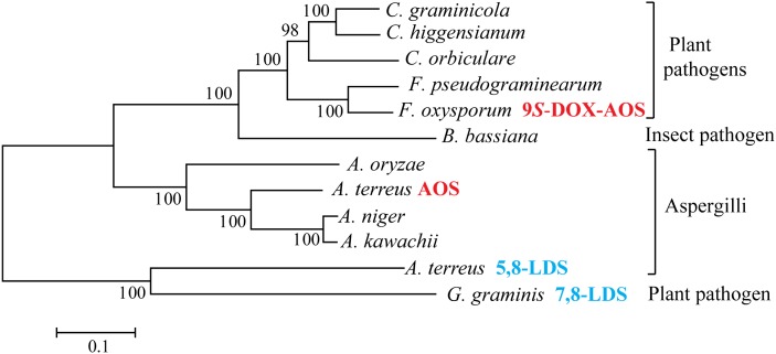 Fig. 9.