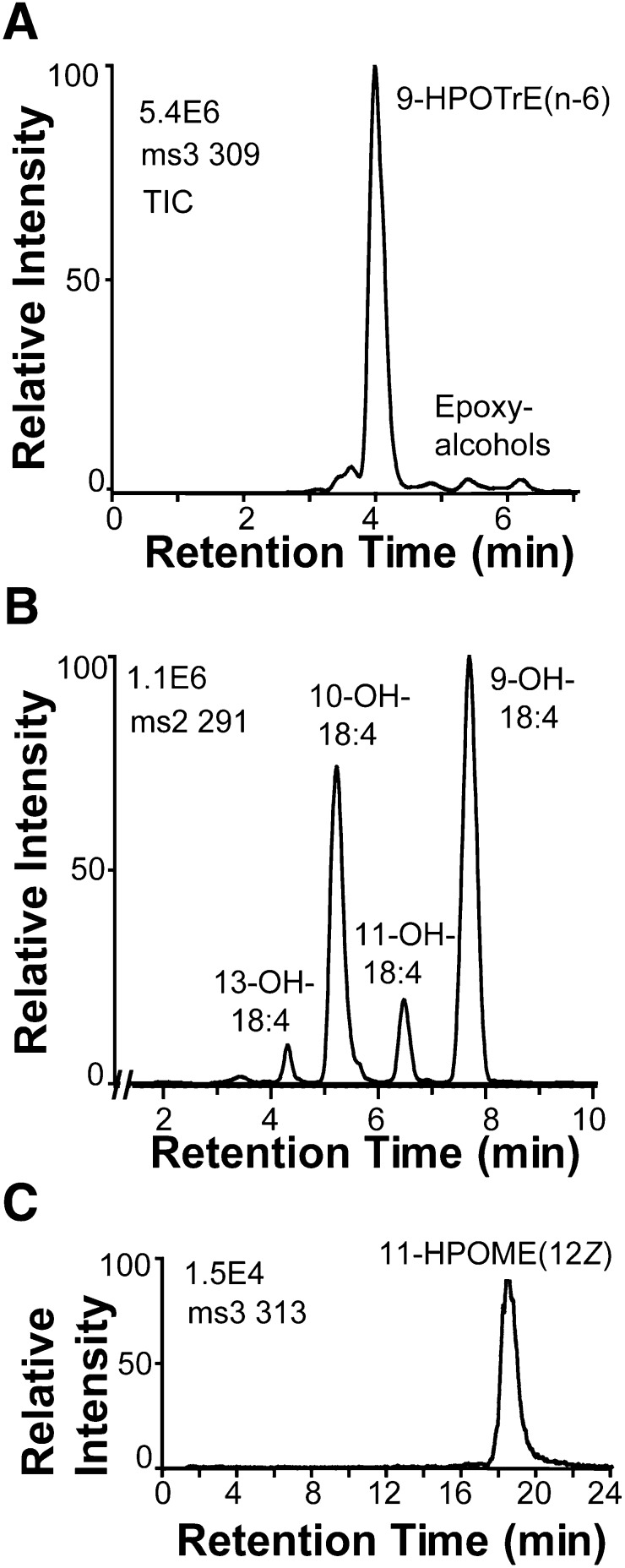 Fig. 7.