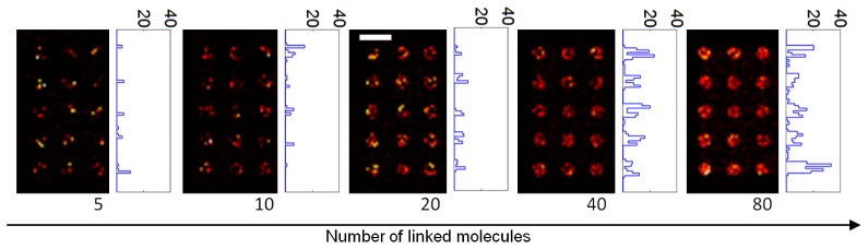 Fig. 5