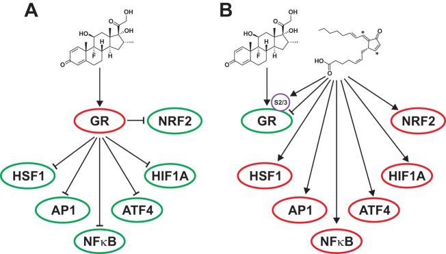 FIG 8