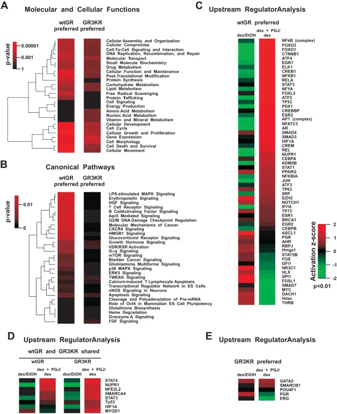 FIG 6