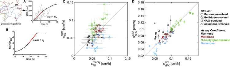 Figure 5