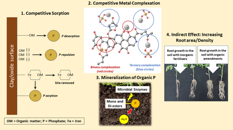 graphic file with name 40538_2023_401_Figa_HTML.jpg