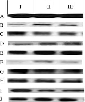 Fig. 6