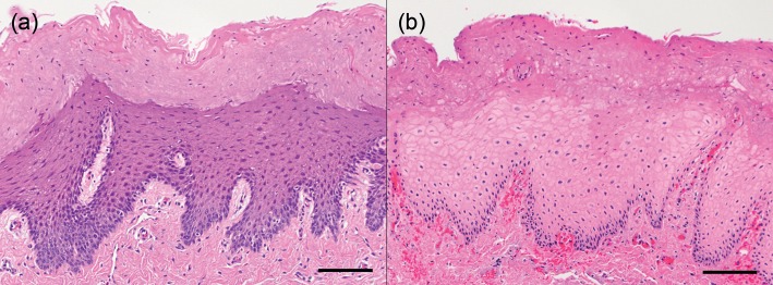 Figure 4: