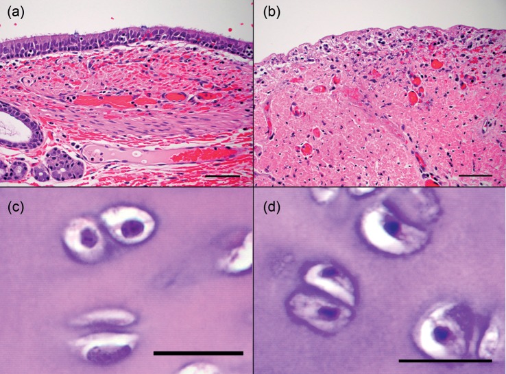 Figure 2: