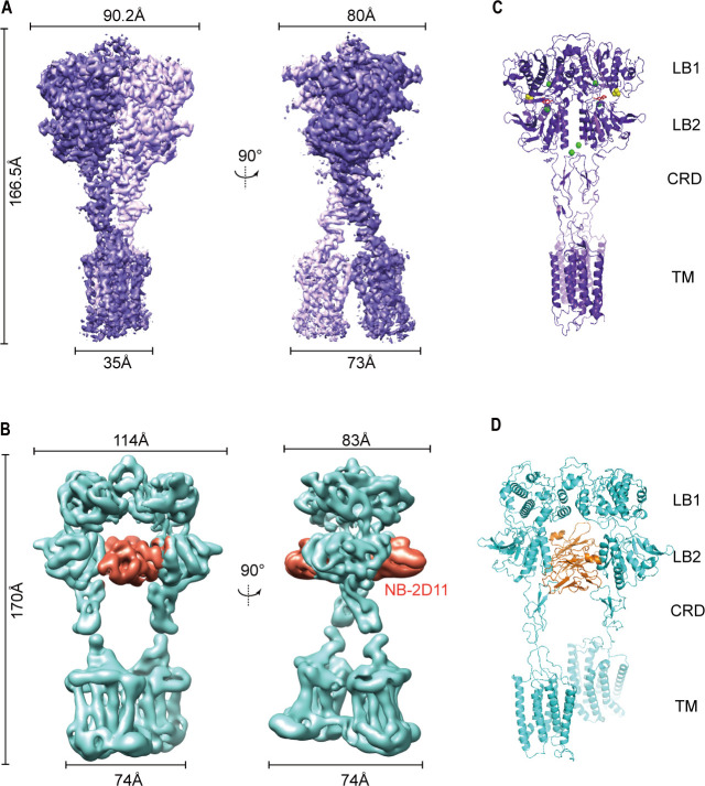 Figure 2.