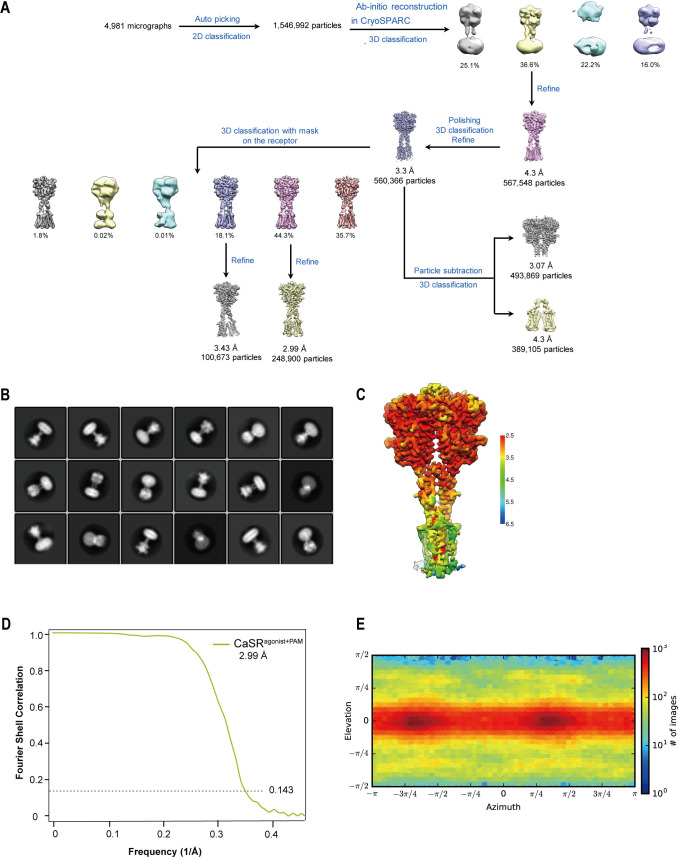 Figure 2—figure supplement 1.