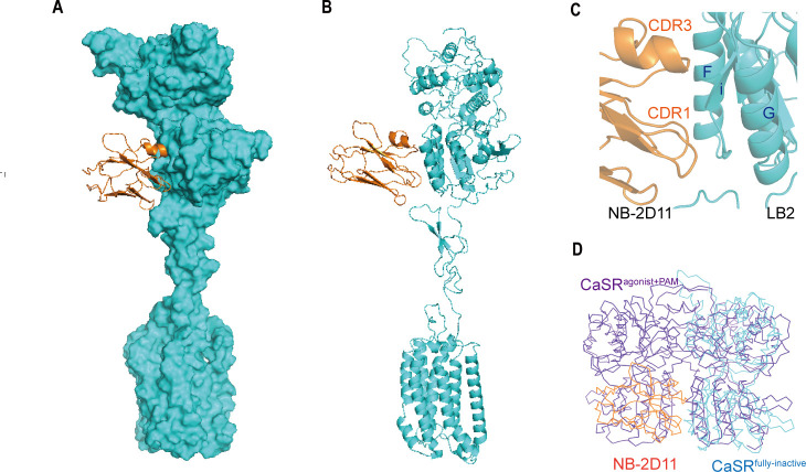 Figure 6.