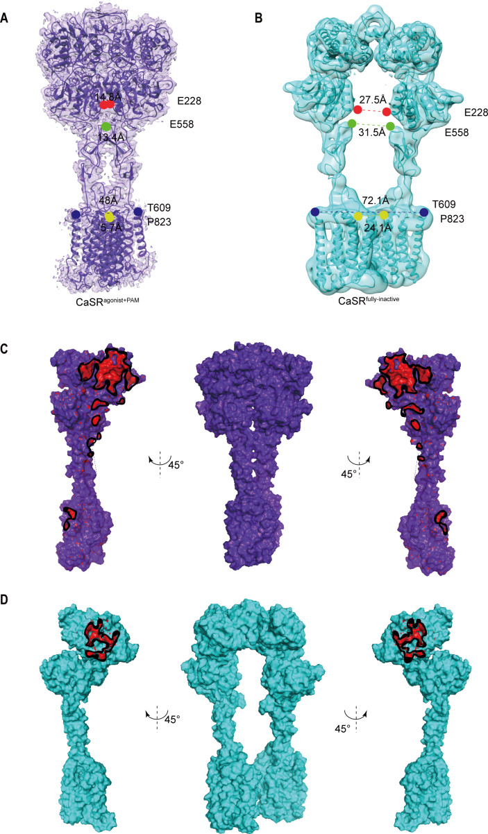 Figure 2—figure supplement 3.