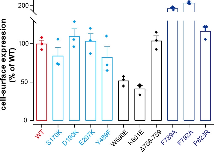 Figure 3—figure supplement 1.