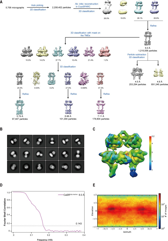 Figure 2—figure supplement 4.