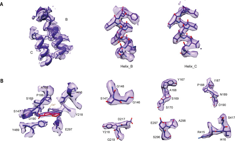 Figure 2—figure supplement 2.