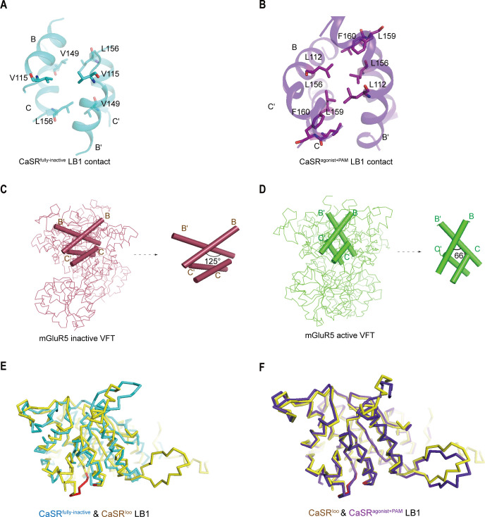 Figure 4—figure supplement 1.