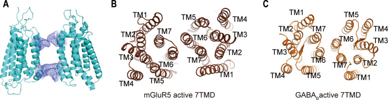 Figure 7—figure supplement 2.