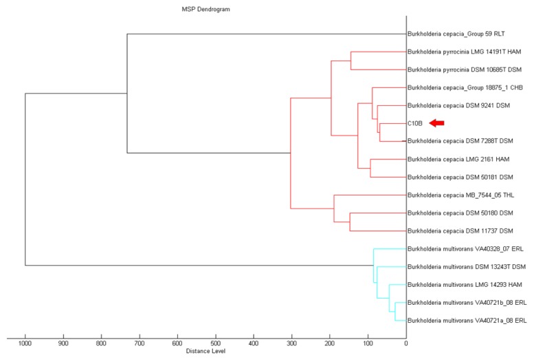 Figure 2.