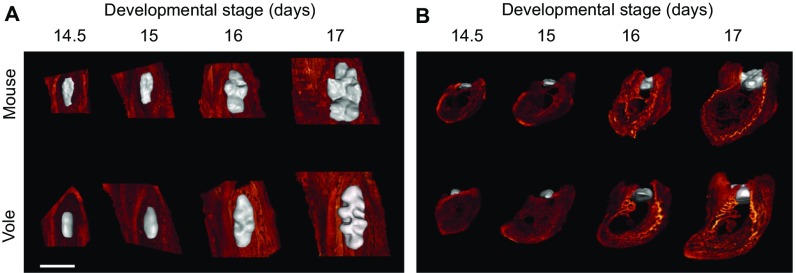 Fig. S3.