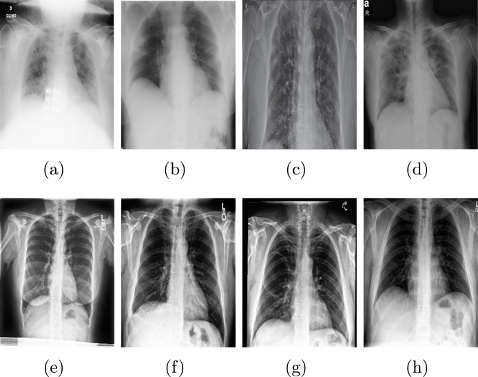 Fig. 11