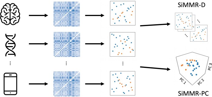 Fig. 1