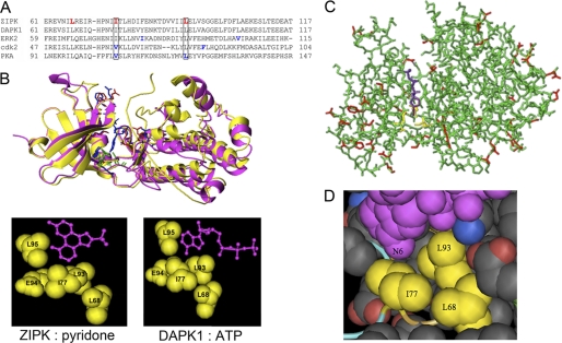 FIGURE 4.