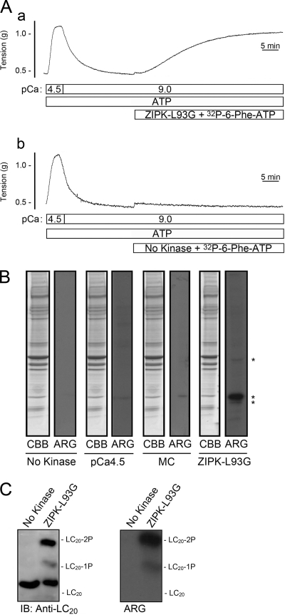 FIGURE 7.