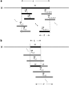<b>FIG. 1.</b>
