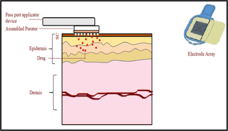 Fig. 6