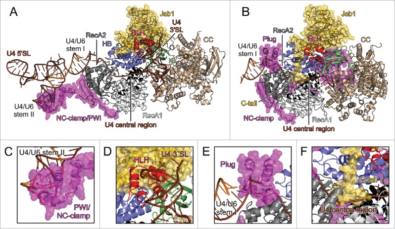 Figure 3.