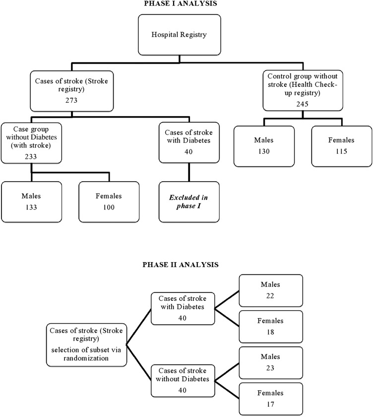 Figure 1