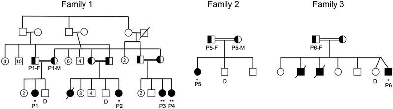 FIG E1.