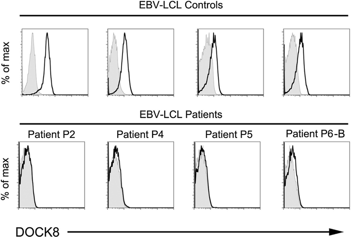 FIG E2.