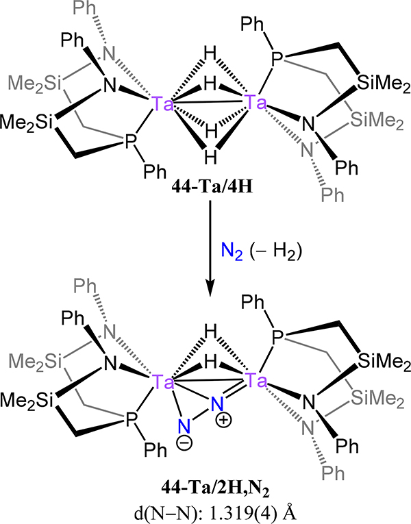 Scheme 14.