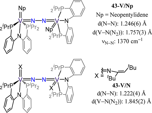 Figure 33.