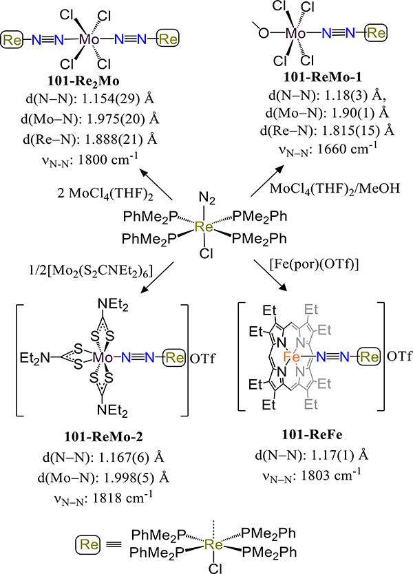 Scheme 30.