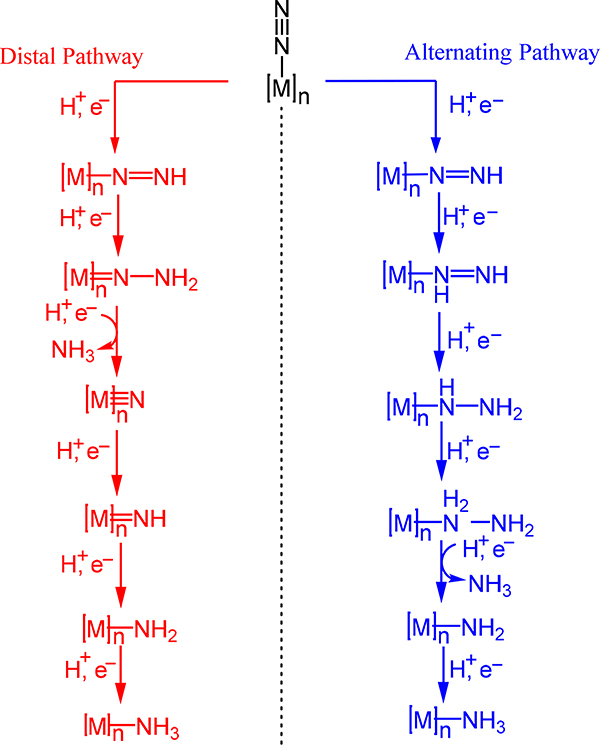 Scheme 3.