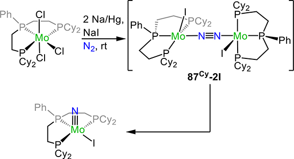 Scheme 29.