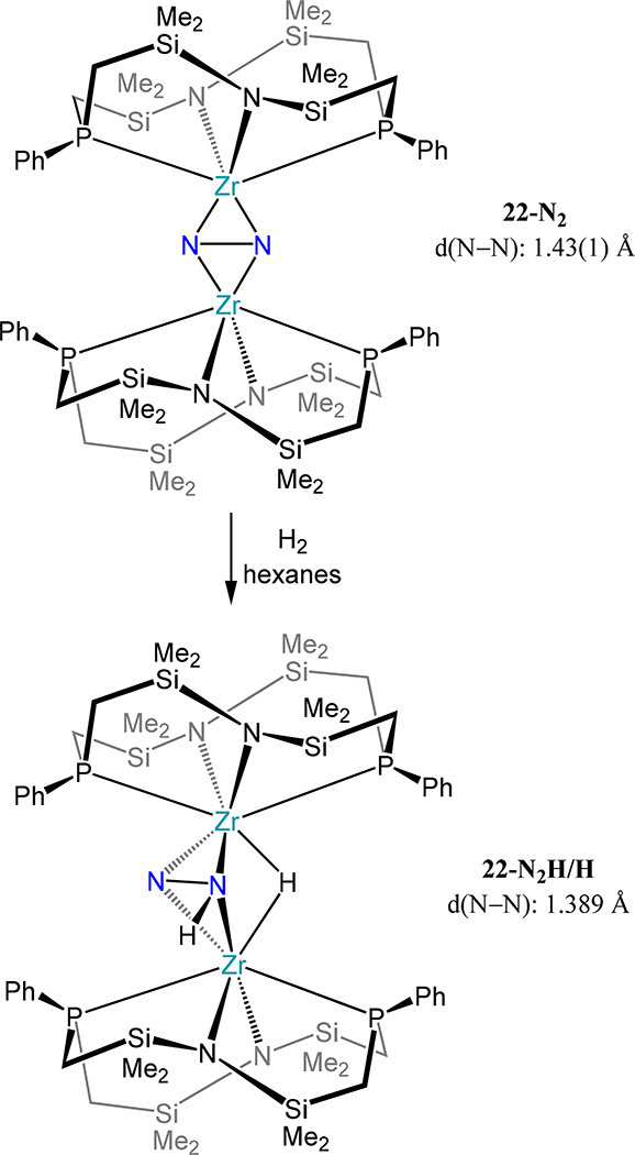 Scheme 9.