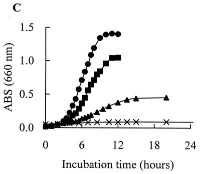 FIG. 2.