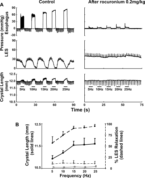 Fig. 9.